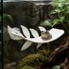 Simulated Leaves Reptile Basking Area Suction Cups Resting Terrace Climbing Rest  Vivarium