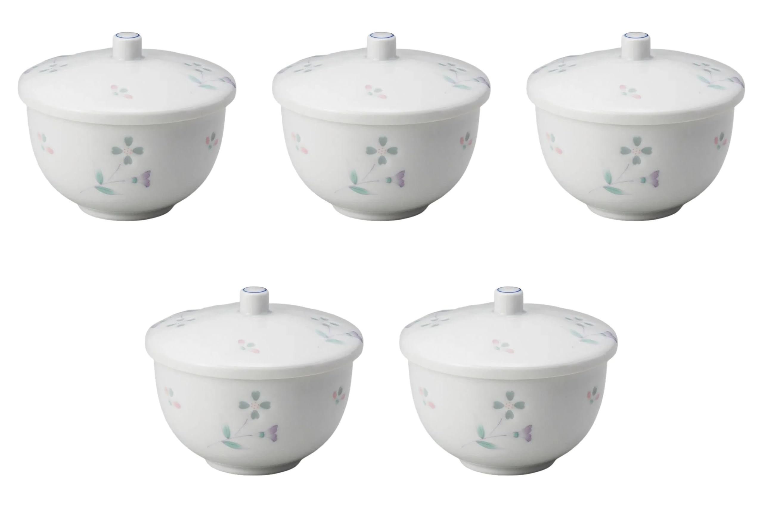 

Set of 5 Hotaru Tsuyu Kusa Lidded Teapots Sencha with Lid Arita Ware Setomonohonpo [9.5×7.5cm (170cc)] (Arita Ware)