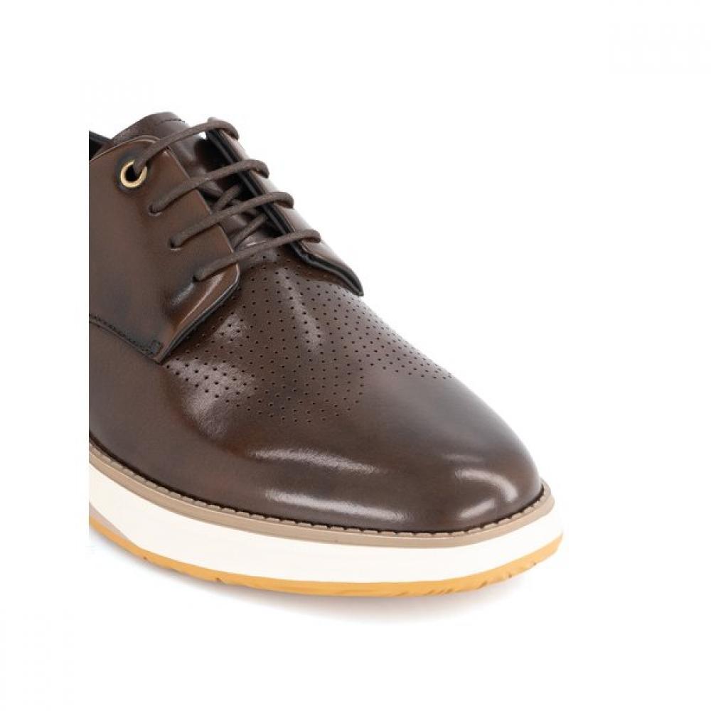 Tandy Men S caSual SneakerS Brown  Q26024 Brown 