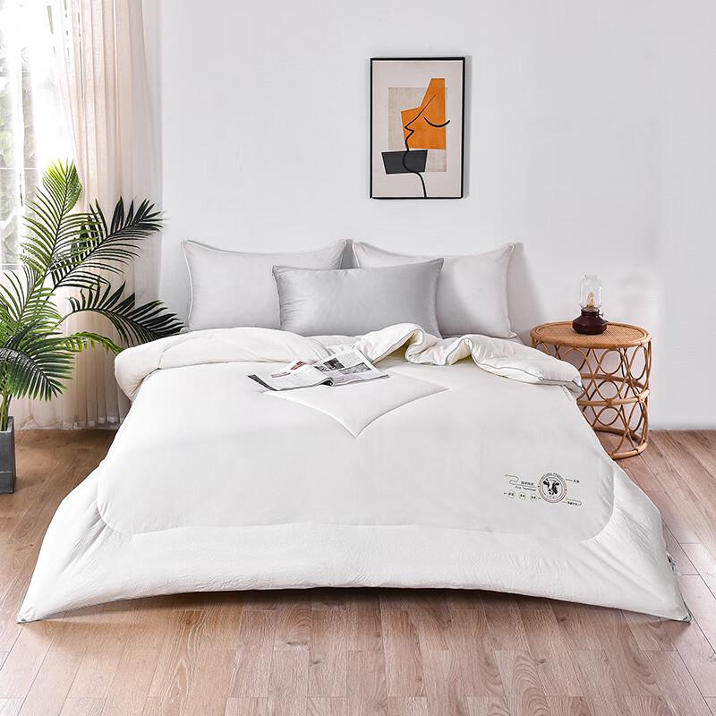 

Royal Sleep Home Milk Protein Fiber Duvet Insert