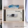 SENTRY Safe Home JIS Japanese Industrial Standard 1 Hour Fireproof 15L A4 Numeric Keypad Tray Gray White JBS-NT310H
