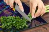 GLASS CUTTING BOARD 45x52 Music