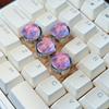 Mechanical Keyboard with Four-Switch Cross Light-Through Keycaps and Directional Magnetic Switch for Nail Art