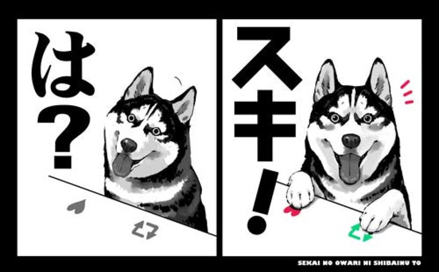 Cospa Shiba Inu and Husky At the End of the World BLACK M Size "Huh?" "Suki!" T-shirt
