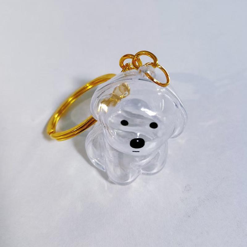 Průhledná kapsle na památku na štěněcí srst, nádoba na psí srst, DIY přívěsek, klíčenka, dekorace, dárky pro milovníky domácích mazlíčků, domácí displej