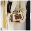 New Fashion Light Luxury Women's Handbags Contrasting Color Commuter Ladies Pillow Bag Casual Simple Shoulder Oblique Span Bags for Wife Birthday Gift