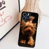 Yorkshire Terrier Dog Phone Case For iPhone 17 Pro Max 16 15 11 13 12 14 Pro Max Mini 15 16 Plus 16e 17 Air Cover