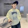 2025 Boys' Autumn Street Style Sweatshirt – Trendy Fashion for Toddlers & Kids