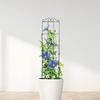 Plant Stem Climbing Rack Plant Trellis Support Stake Stand Vine Growth Flower Frame For Mini Climbing Plants Potted