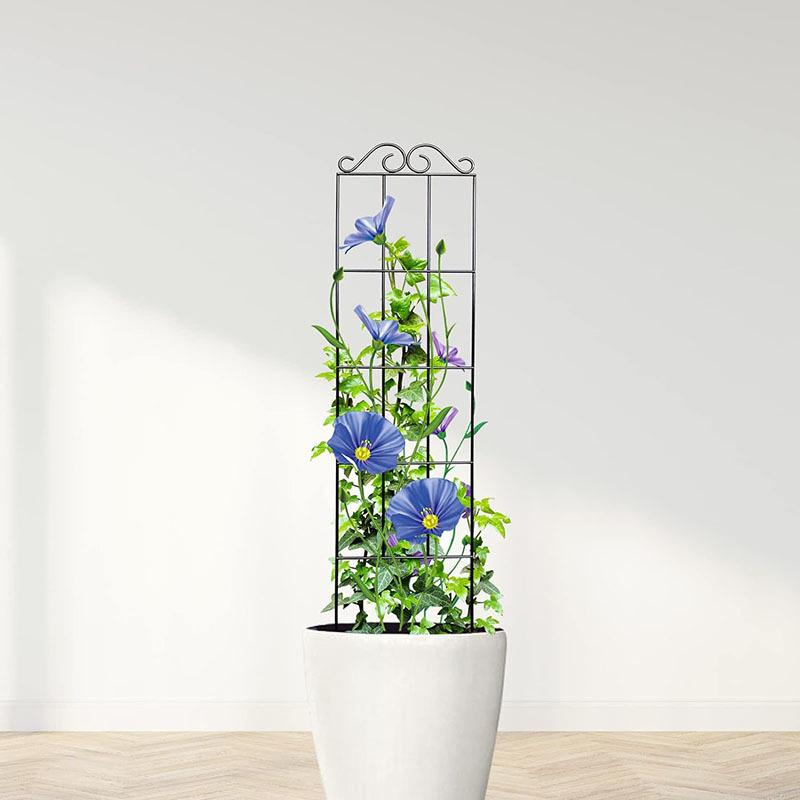 Plant Stem Climbing Rack Plant Trellis Support Stake Stand Vine Growth Flower Frame For Mini Climbing Plants Potted