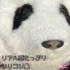 Realistic Panda Plush Toy, Perfect for Birthdays, Anniversaries, Presents, Children's Day, Healing, Smiles, Encouragement, Japanese Flowers, Fur Fur,