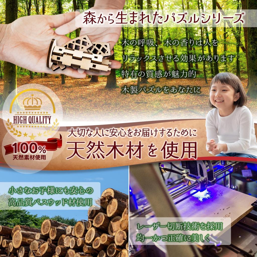 MiYAVi Large Treasure Box Dial Lock Piggy Bank Secret Box Spring Break Craft Kit 3D Puzzle Wooden Puzzle Gift Educational Toy Parent and Child DIY