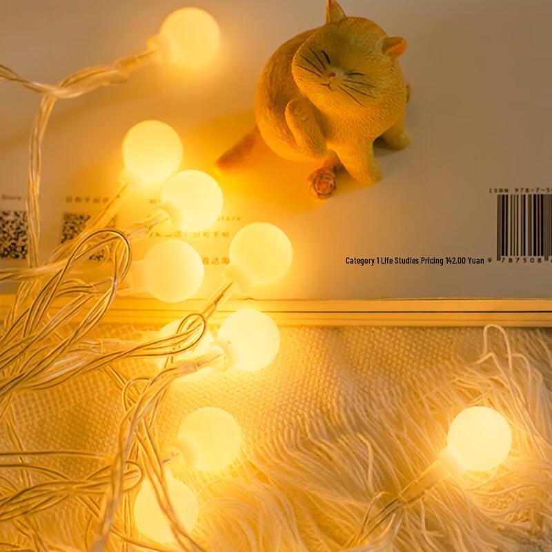 Huilingyang Camping Globe String Lights