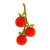 JELLYCAT Gourmet Series Lively Vegetable Tomato Soothing Doll Plush Figure 8cm Tall