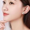 925 Silver Earrings Inlaid Zircon Stone Classics for Women Wedding Jewelry Engagement Fashion High Quality Gifts Party