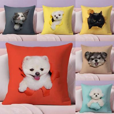 Schattige ondeugende schattige katten honden kussensloop Ultrazacht huidvriendelijk materiaal Wolkachtig comfort & Verborgen rits