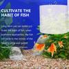 Hanging Aquarium Feeding Ring 6/8cm Aquarium Suction Cup Feeder Suspensible Fish Feeder  Aquarium