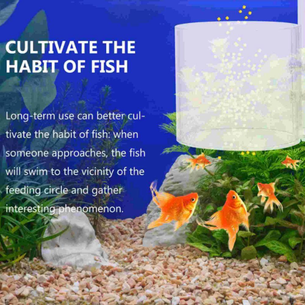 Hanging Aquarium Feeding Ring 6/8cm Aquarium Suction Cup Feeder Suspensible Fish Feeder  Aquarium