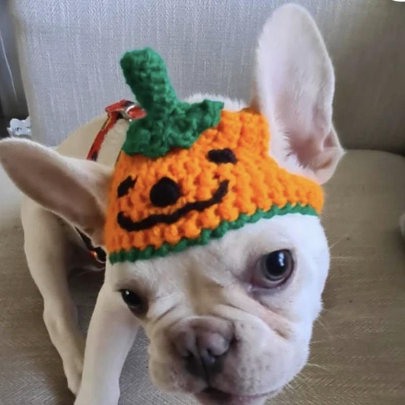 Medium Dogs Halloween Costume Hat Pet Party Hat Novelty Pumpkin Cap for Puppy