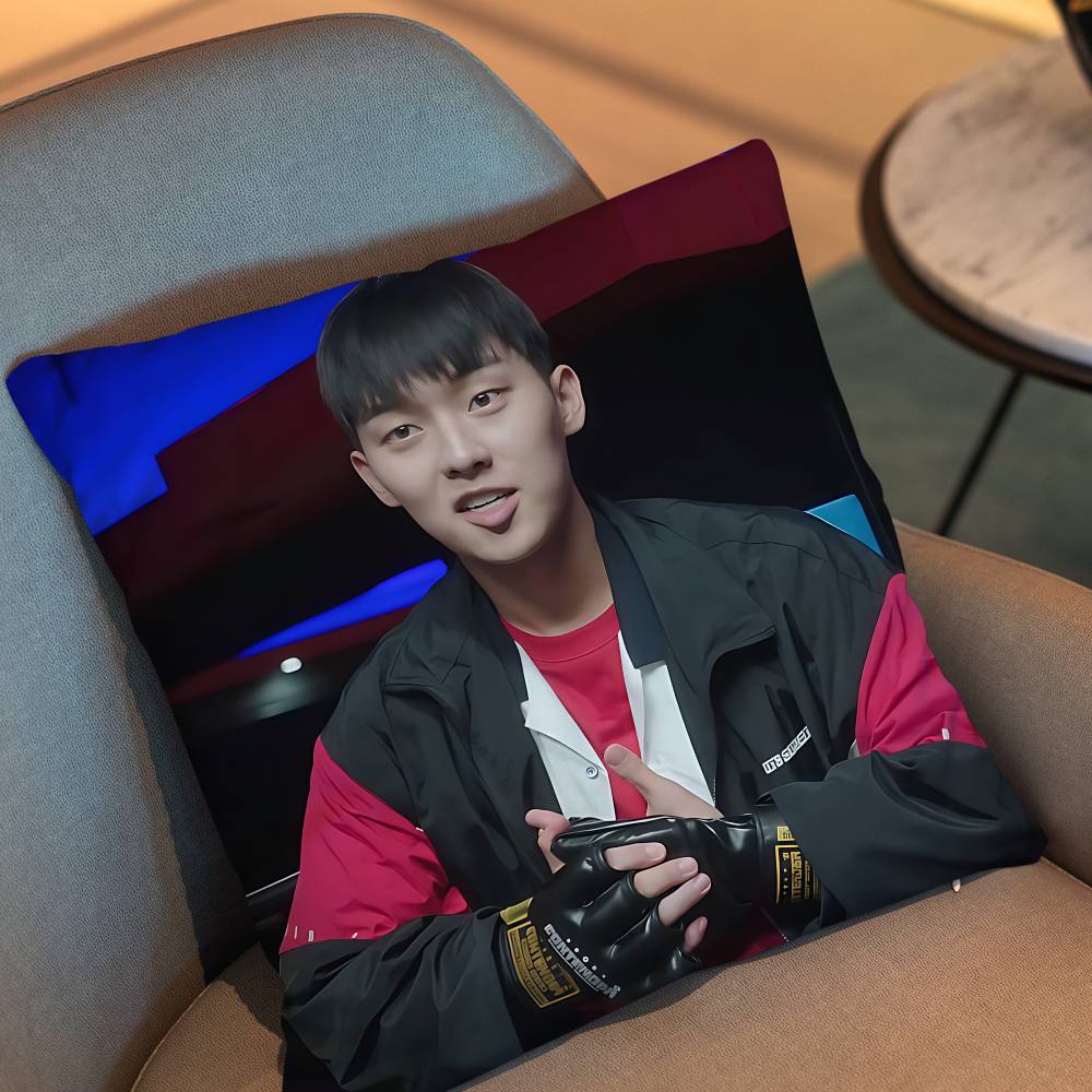 Park Jihoon Weak Hero Class Choi Hyun Wook Pillow Case Sofa Living Room Bedroom Headboard Backrest Cushion Square Cushion Nap