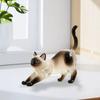 Transparent Cat Hair Storage Box Animal Shaped Dog Fur Storage Pendant  Backpack Charm