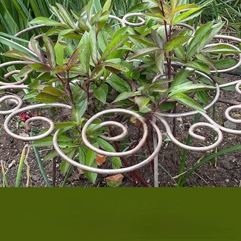 Blumenförmiger Eisen-Pflanzstützrahmen für Beete
