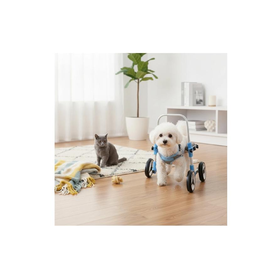 Front Leg Dog Wheelchair Padded Pet Front Leg Wheelchair Mobility Cart Comfortable Long-Lasting for Disabled Dogs