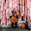Halloween decorations: blood-stained bandages, gauze strips and hanging decorations – horror props, bloody bandage strips, pack of 6