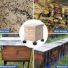 Slip Resistant Base Ants Proof Hives Feet Hives Base Feet Convenient Outdoor Stand Plastic Texture Perfect for Workshop