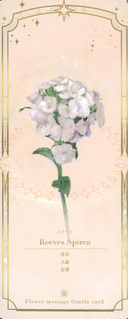 Flower Message Oracle Cards Shin 45 Cards with Instructions In and Chinese (4 Languages) Japanese, English, Korean, [Authentic]