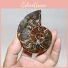 Accesorii pentru decor – Obiecte de decor din materiale naturale