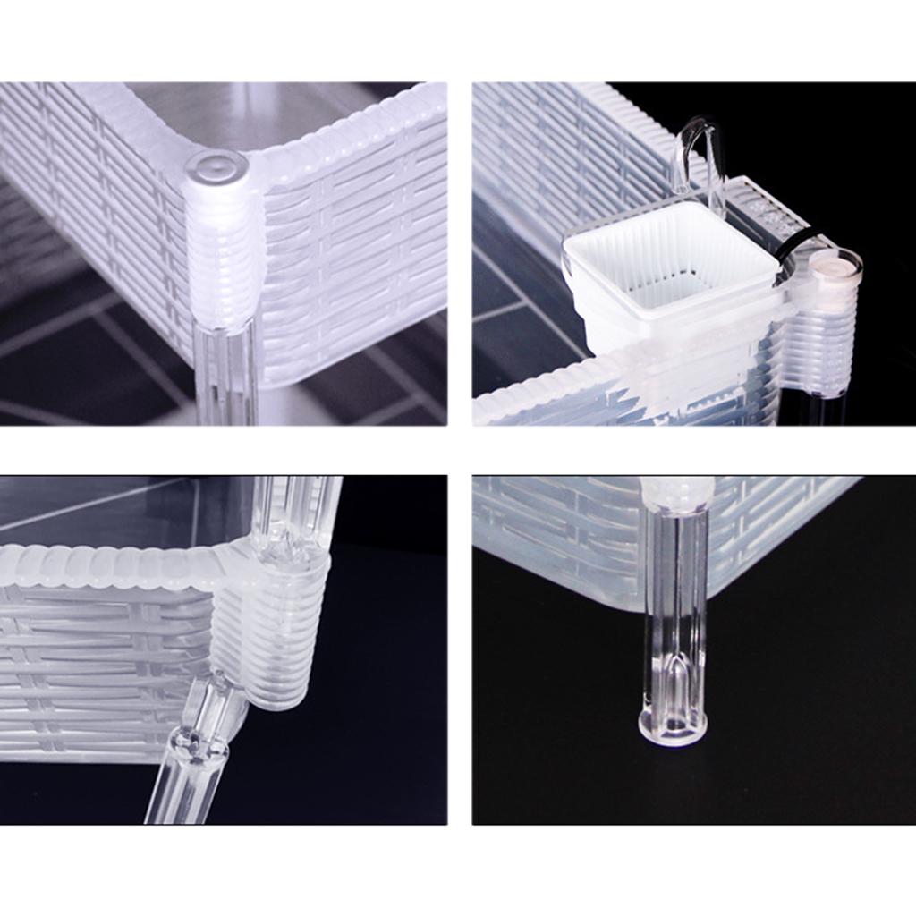 Aquarium-Schildkrötenbecken-Reptilienlebensraum für Fischschildkröten