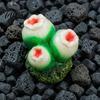 Coral Bubbler Aquarium Accessory Shell, Resin Volcano Air Pump Bubbler, Blister Resistant Fish Ornament Tank Decoration for Shrimp Crab Betta