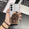 Monkey Drink Trend Case for Samsung Galaxy A15 A05 A16 A06 A23 A51 A33 A50 A24 A52 A73 A13 A07 A53 A14 A04 A12 A03 A54 A34 Phone