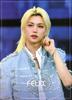 Stray Kids Felix Merchandise Photobook Premium Photo Book Large Photobook K-POP