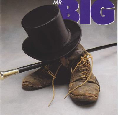 CD MR.BIG - Mr Big 7819902,819902 Atlantic 1989 US Rock Used