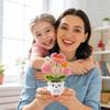 Handmade Crochet Plant Flowerpots, Creative Gift Decorations For Mother's Day, Knitted Potted Plant Decorative Ornaments (1 Piece)