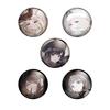 Algernon Products Déesse de NIKKE COLLECTION BURST Badge 1 56mm Métal Victoire Vol. 5, Boîte, Env.. Diamètre,