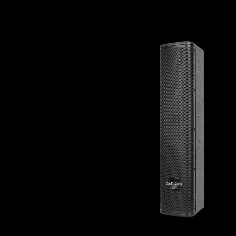 Xun Er Wei Professional Conference Audio Video Systems (CN version)
