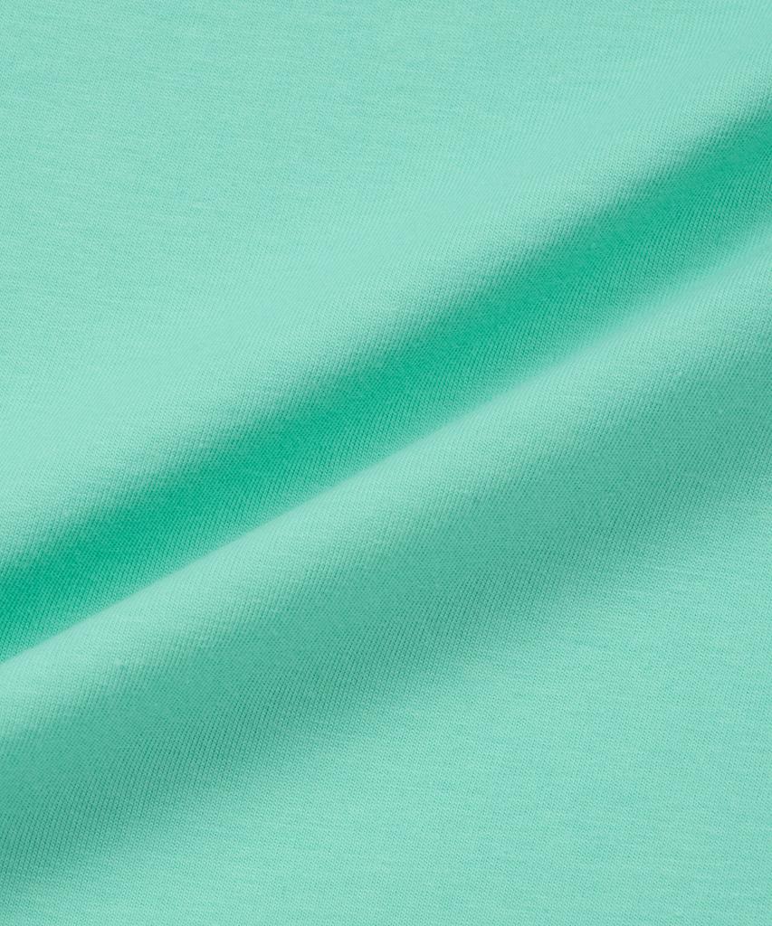 USPOLOASSN Cotton Short Sleeve Round Neck T-Shirt_Mint