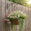 Hanging Plant Brackets Iron Decorative Wall Hangers Hook Hanging Plant Hook for Indoor Outdoor for Bird Feeders