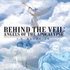 Behind the Veil by Bandy & J E & Jr Hardback Book 9781489709530