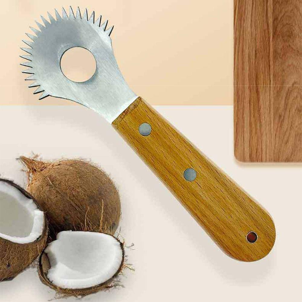 Raschietto per Cocco in Acciaio Inossidabile Grattugia Cocco Affilata Pialla Cocco Conveniente Uso in Cucina