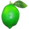 Realistic Artificial Lemon with Branches and Leaves Designed for Photography Retail Presentation and Home Decorative Purposes