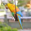 Garden Ornament Parrot with Ring Exquisite Colorfast Hanging Pendant Summer Bird Decoration