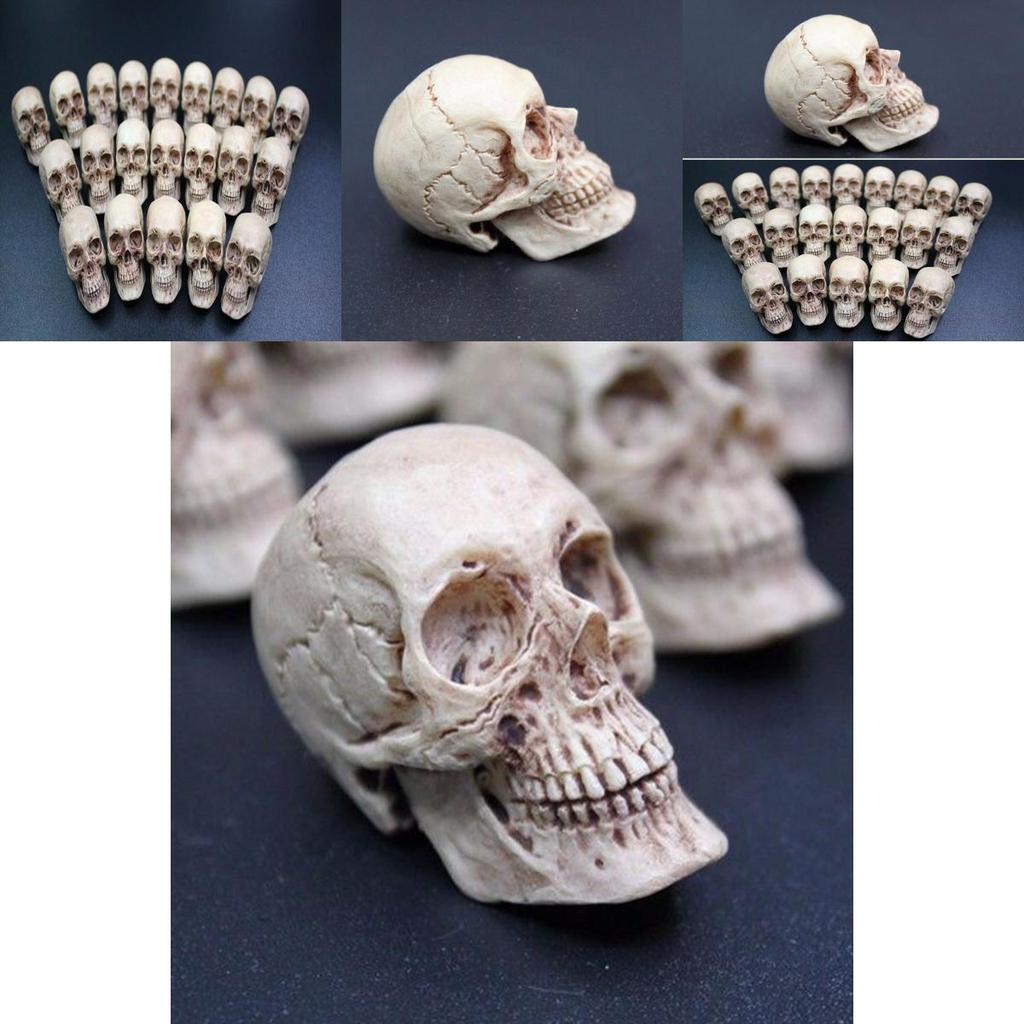 Mini Artificial Skull For Anatomical Scenes Perfect For Home Decor And Gifts