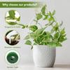 8pc Contemporary Acrylic Flower Stand System Combines U Shaped Circular Vertical Designs for Creative Garden Decoration