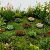 5mm Landscape Scene Making Flower Clusters Scenario Model Materials  Landscape Design