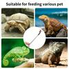 Stainless Steel Reptile Feeding Tongs with Rubber Tips, 10, 15.24cm Straight & Curved Long Tweezers for Aquarium or Crafts