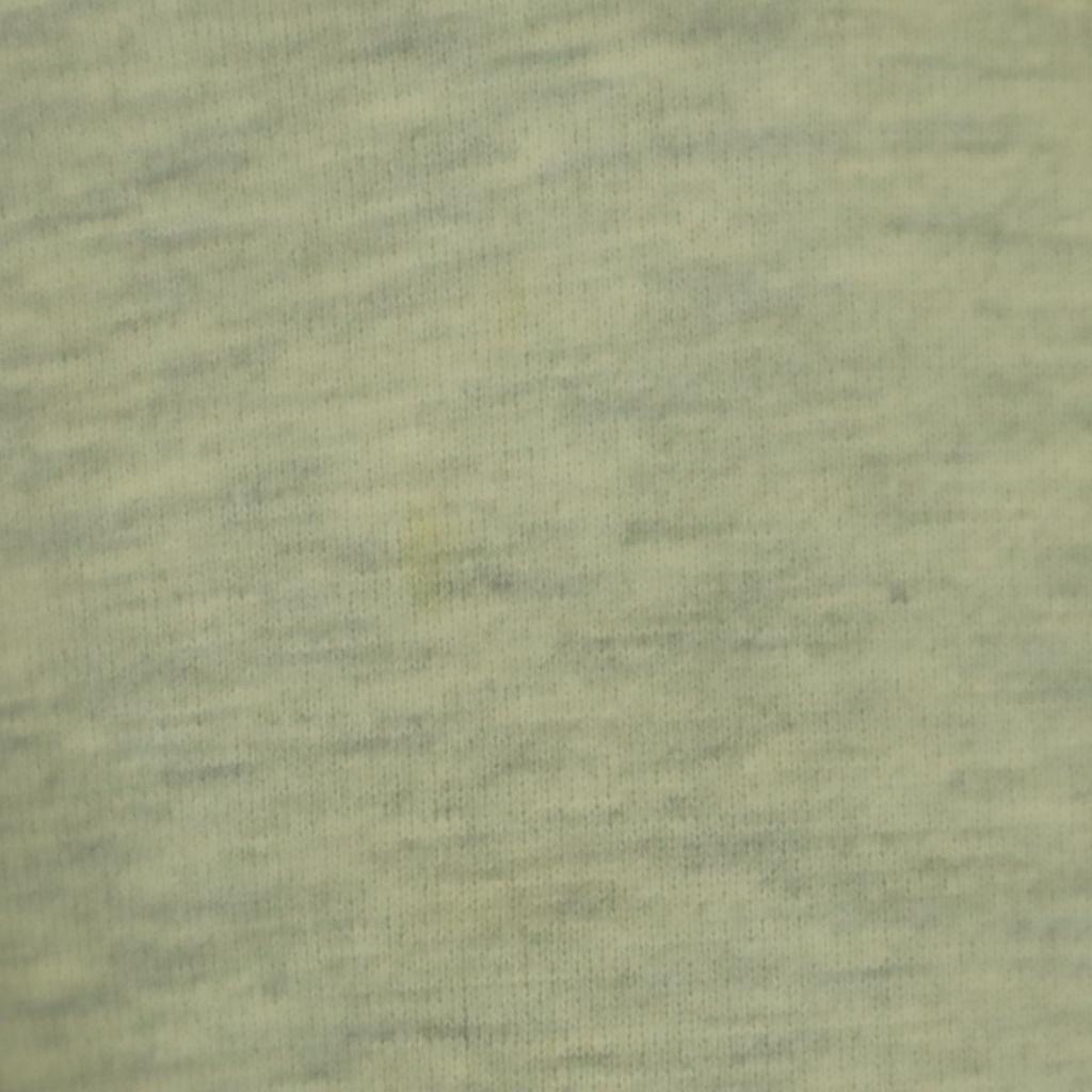 Champion 00s Back brushed One point logo Long sleeve Parker M Gray Old Men's Used